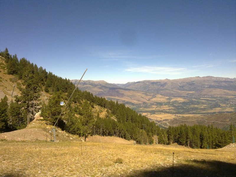 ALP - MASELLA